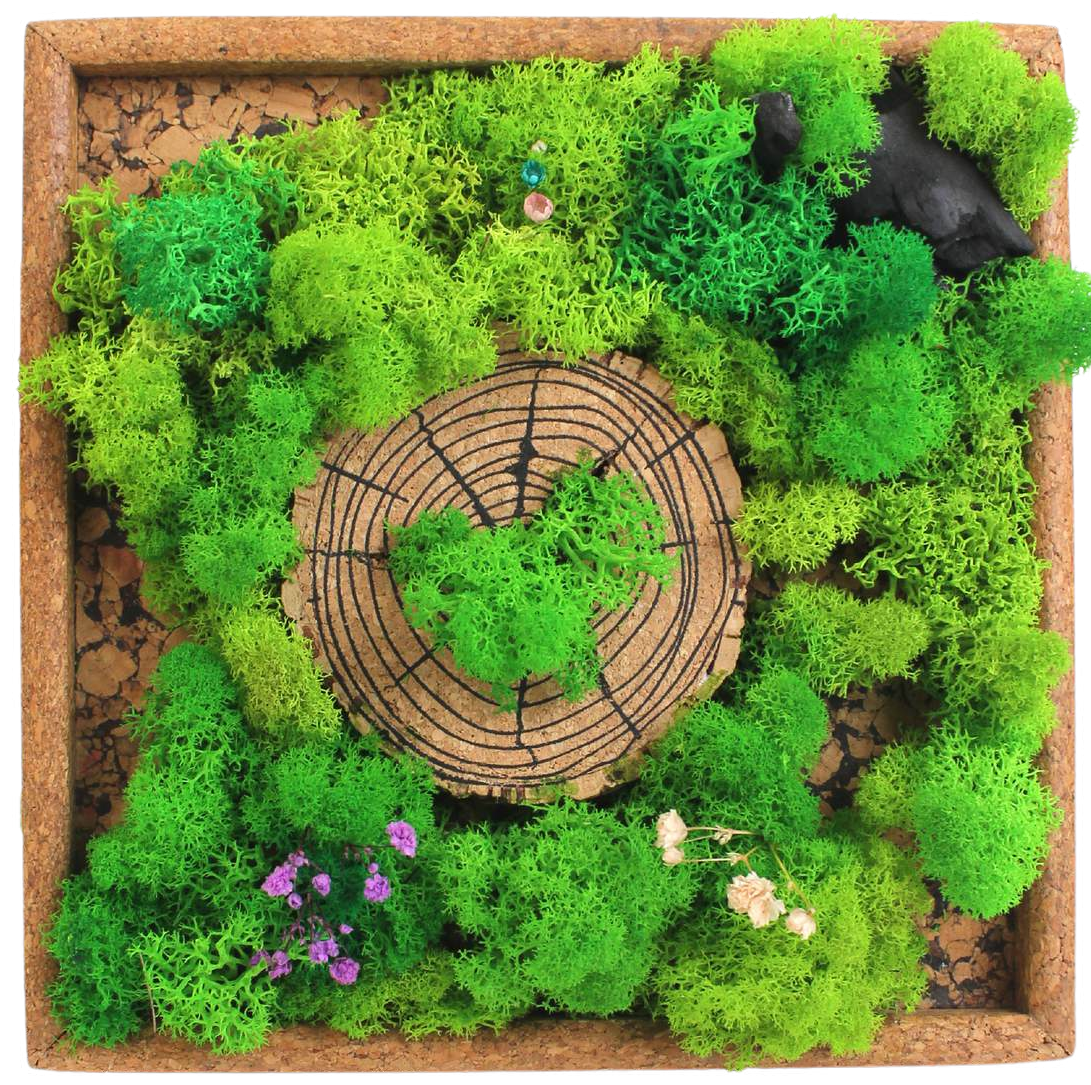 Forest Chronicles Square Wall Painting