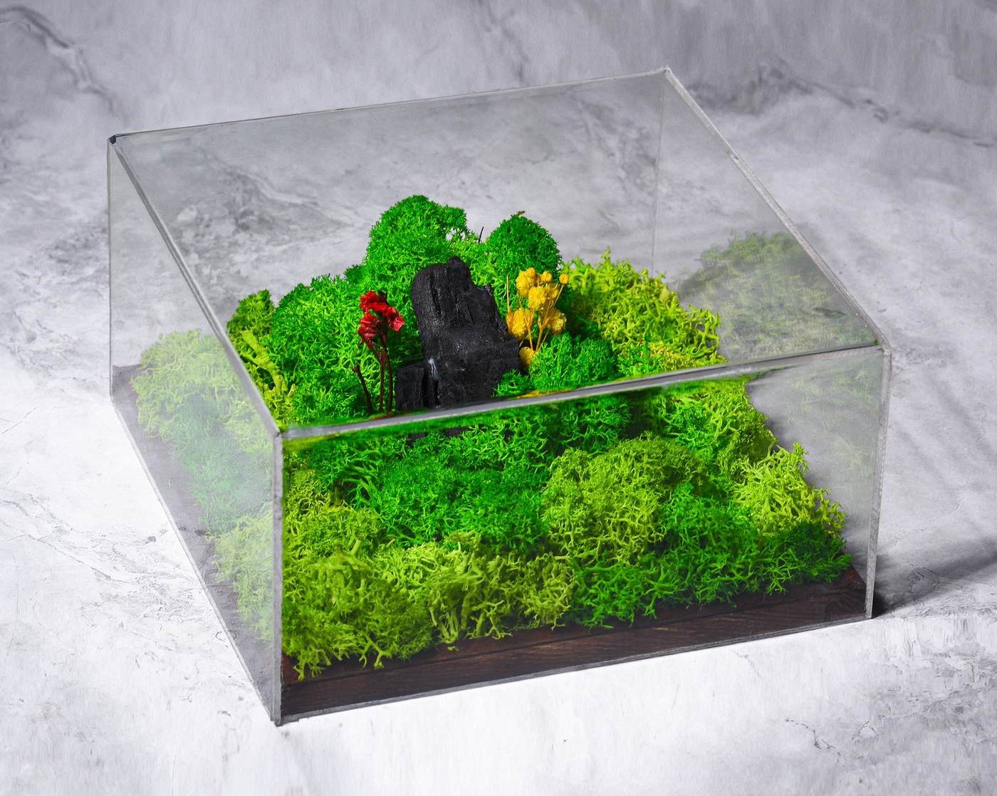 FOREVER TERRARIUM (Classic)