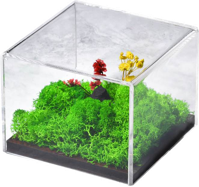 FOREVER TERRARIUM (DESK)