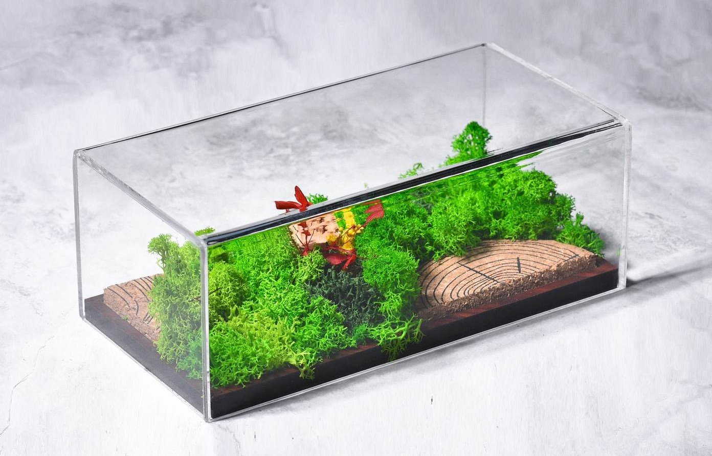 FOREVER TERRARIUM (PANORAMA)