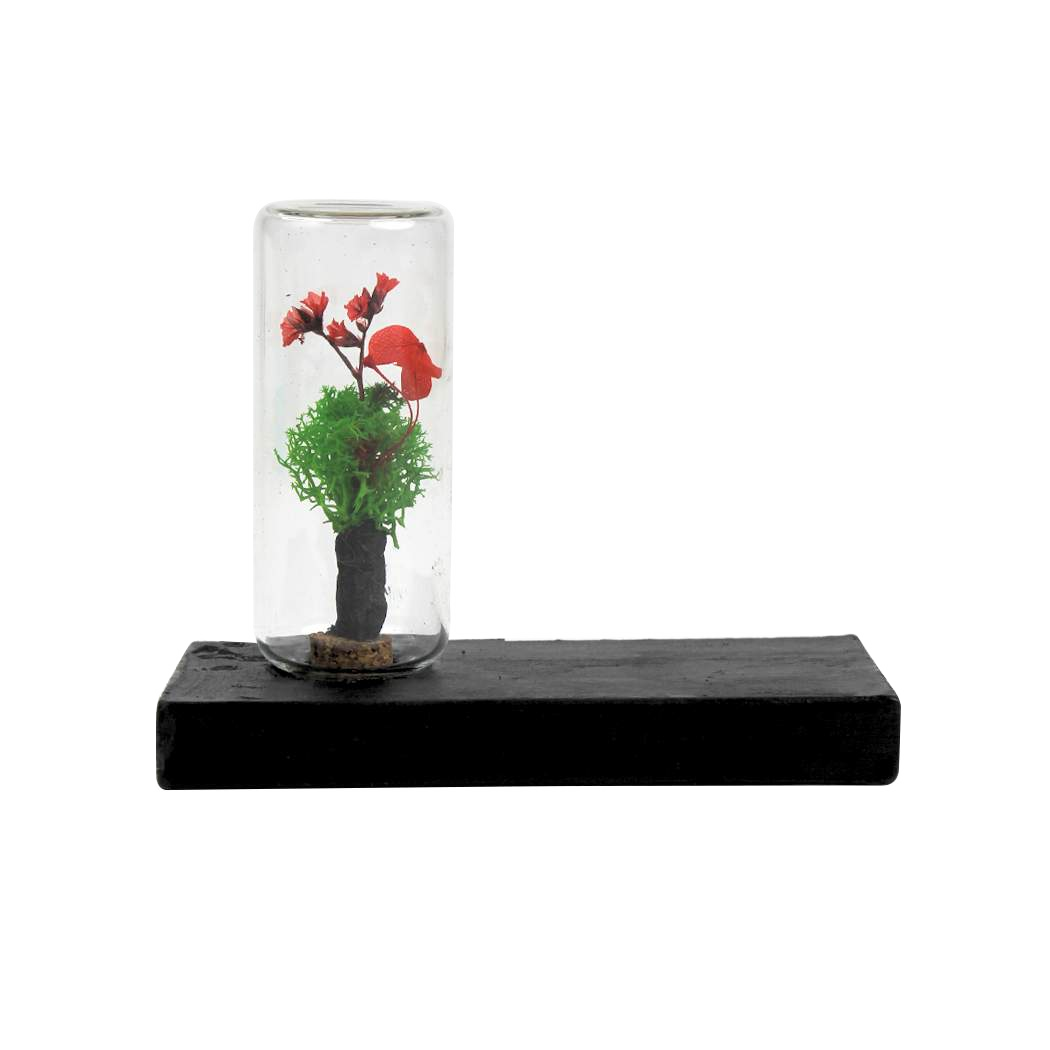 FOREST BAR (RECTANGLE)