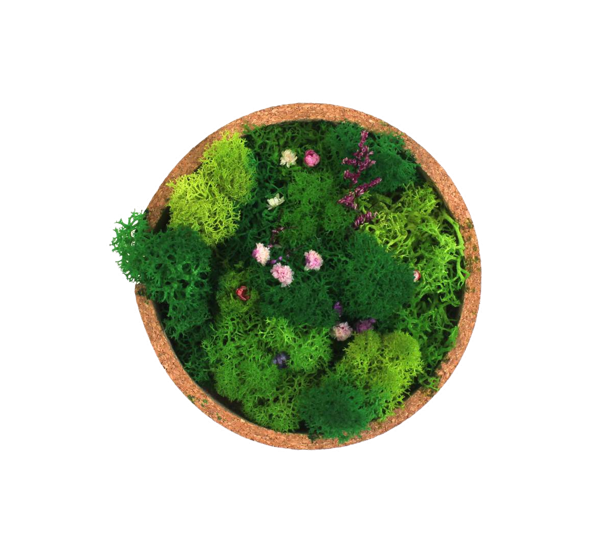 FOREST BOWL (BLOOM)