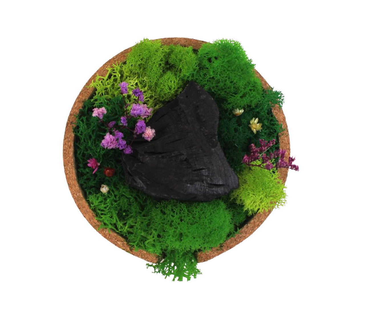 FOREST BOWL (SHADOW)