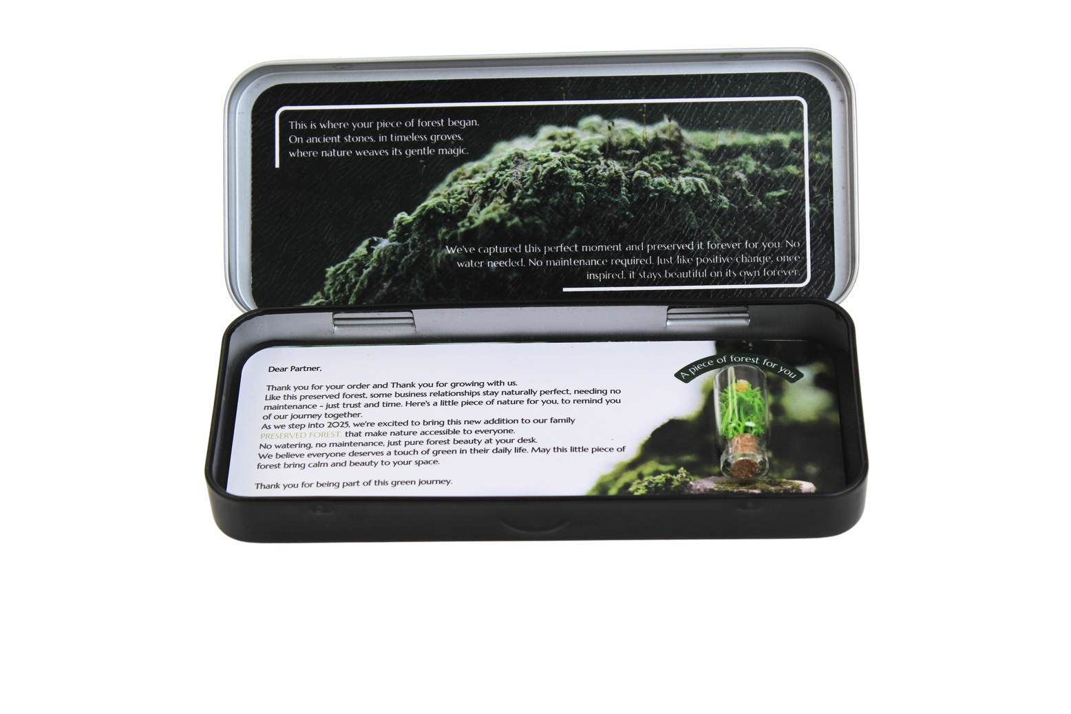 FOREST CARD (IN A BOX)