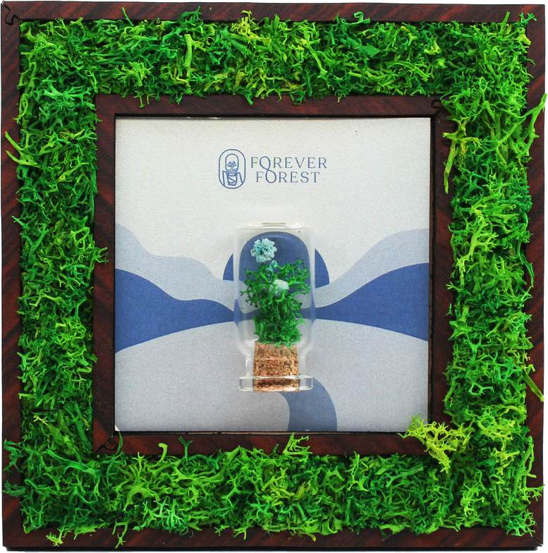 FOREST FRAME (+GLASS)