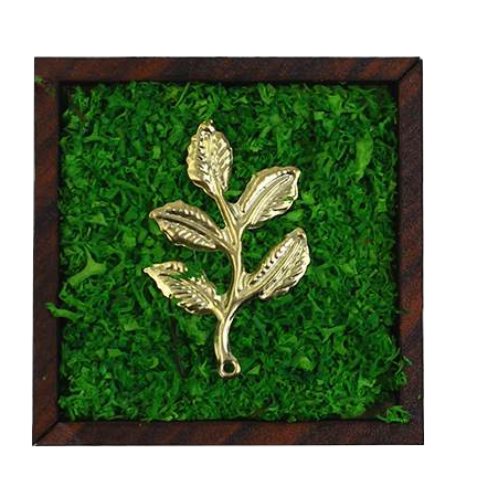 FOREST SIGNATURE (MINI)