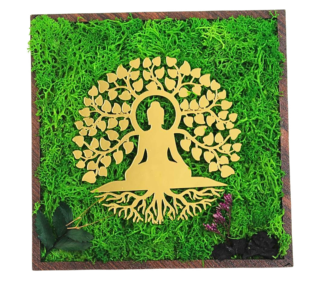 FOREST SIGNATURE PLUS