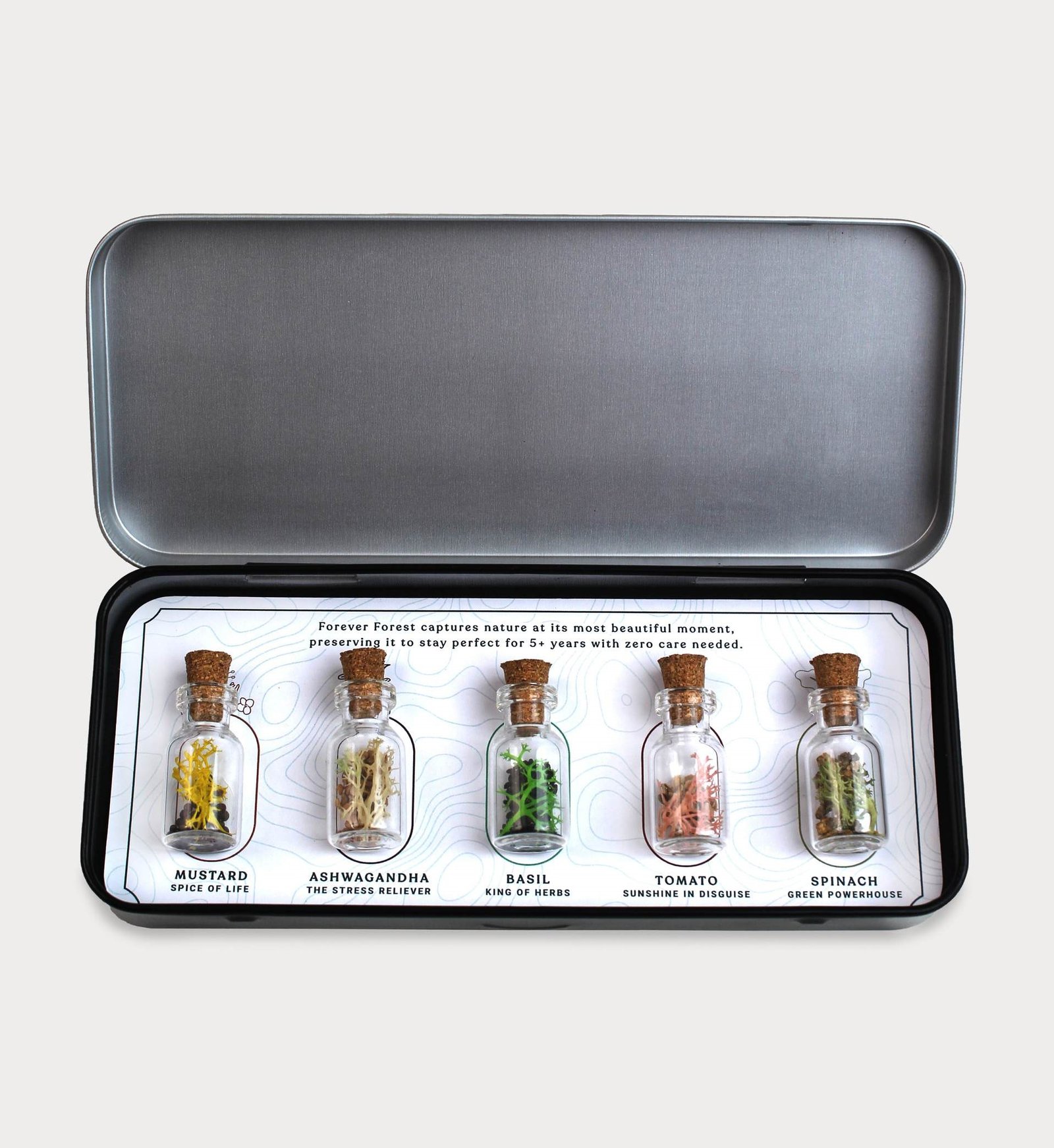 FOREST SPARKLE (GROW)