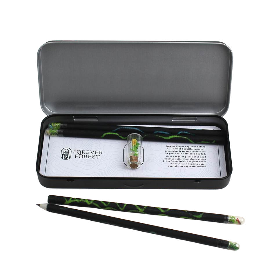 FOREST SPARKLE (SKETCH)