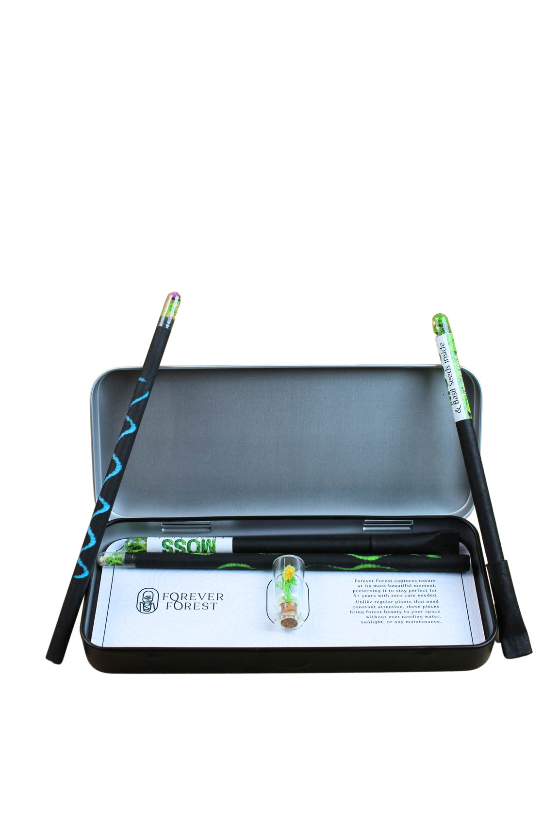 FOREST SPARKLE (WRITE)